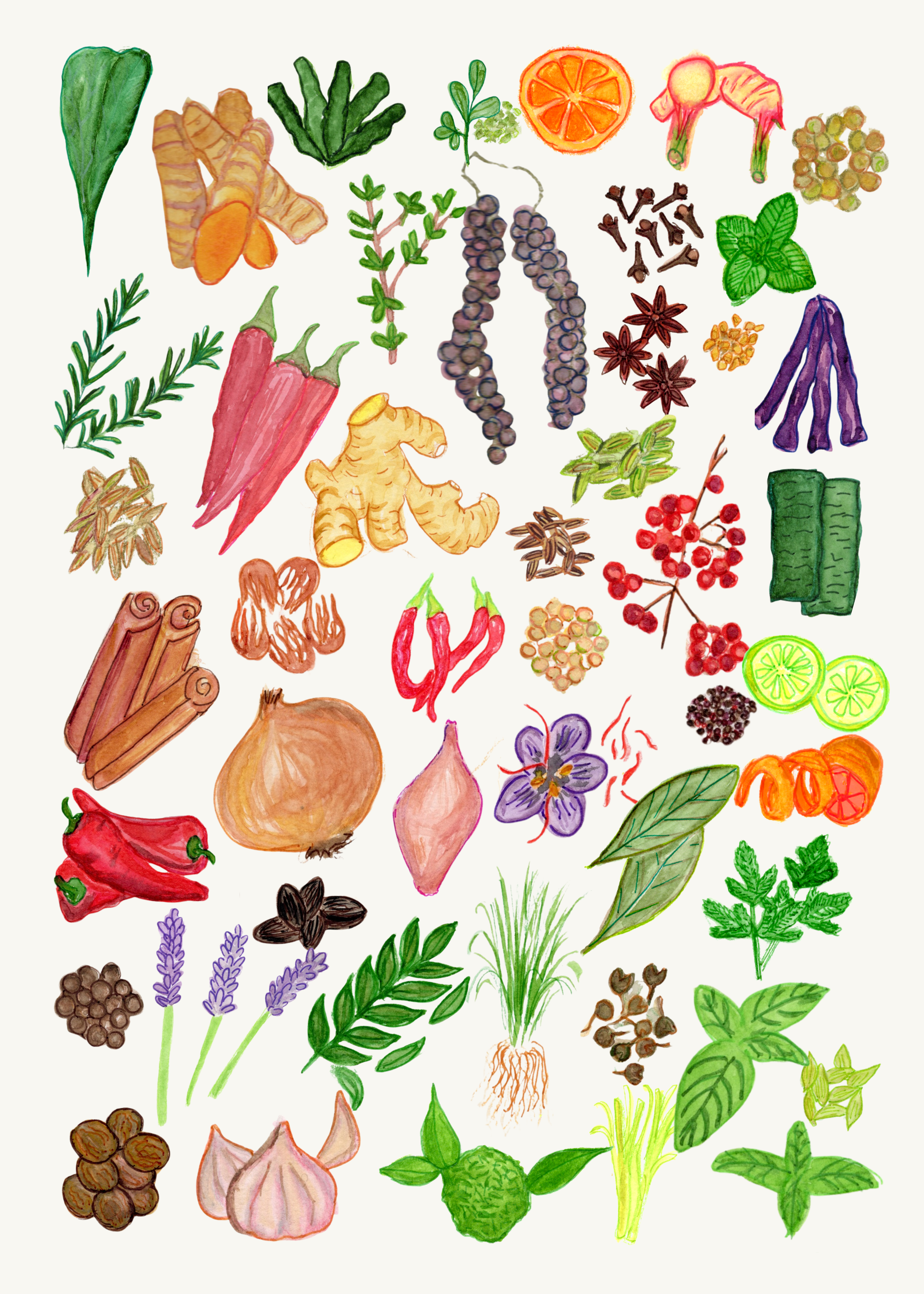 Master Spice Sheet 5x7.png