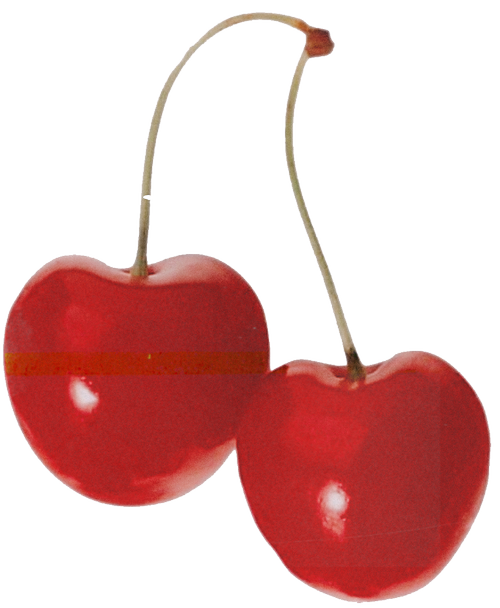 Cherry Apricots ⌇18+ Content Creator