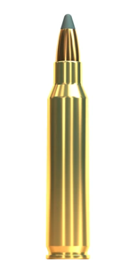Screenshot 2025-12-08 145730.png
