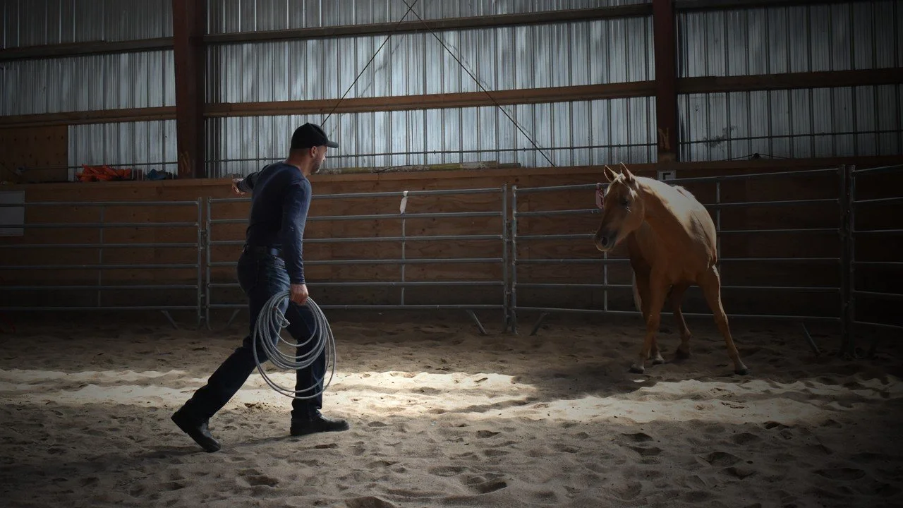 step six - discover horsemanship philosophy &amp; methodology in the round pen 