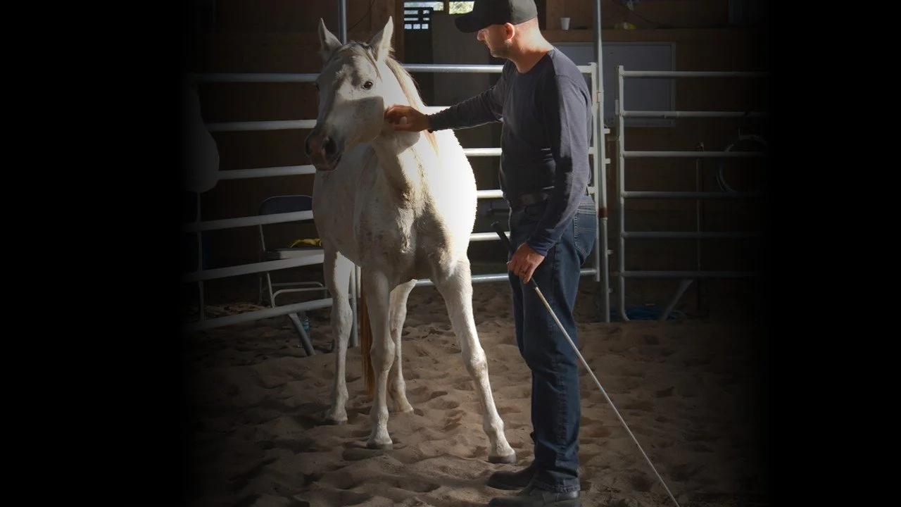 Step Eight - Discover Horsemanship Philosophy &amp; Methodology in the Round Pen