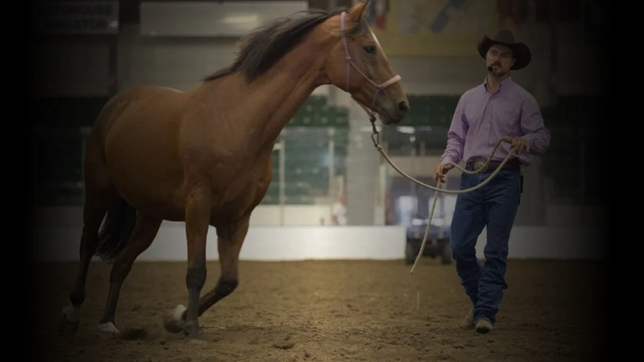 Step Ten - Discover Horsemanship Philosophy &amp; Methodology in the Round Pen 