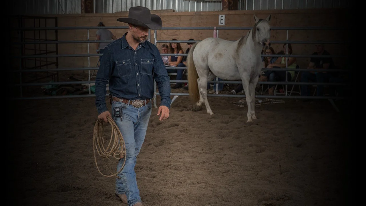 Step Fifteen - Discover Horsemanship Philosophy &amp; Methodology in the Round Pen 
