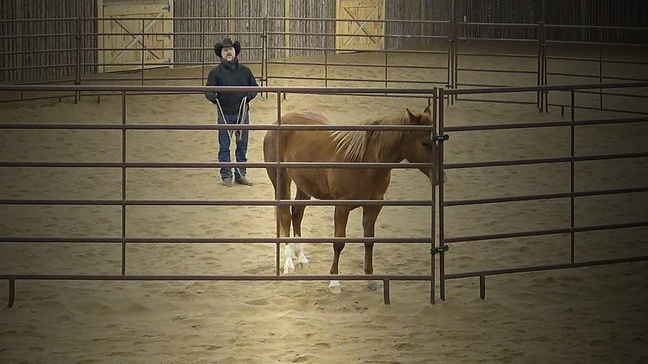 Step Twelve - Discover Horsemanship Philosophy &amp; Methodology in the Round Pen 