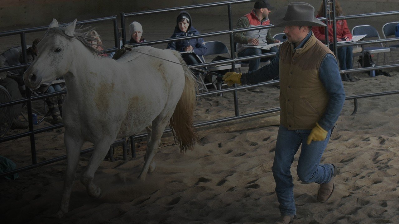 Step Fourteen - Discover Horsemanship Philosophy &amp; Methodology in the Round Pen 