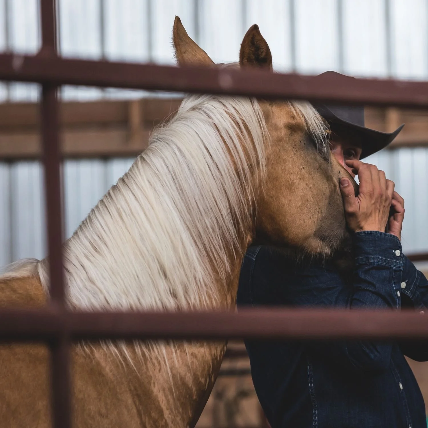 Event -One Day Spectator Clinic - Discover Horsemanship - Round Pen - Choose Sat Mar 14/26 or Sun Mar 15/26