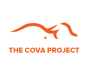 Cova-project_3x2.png