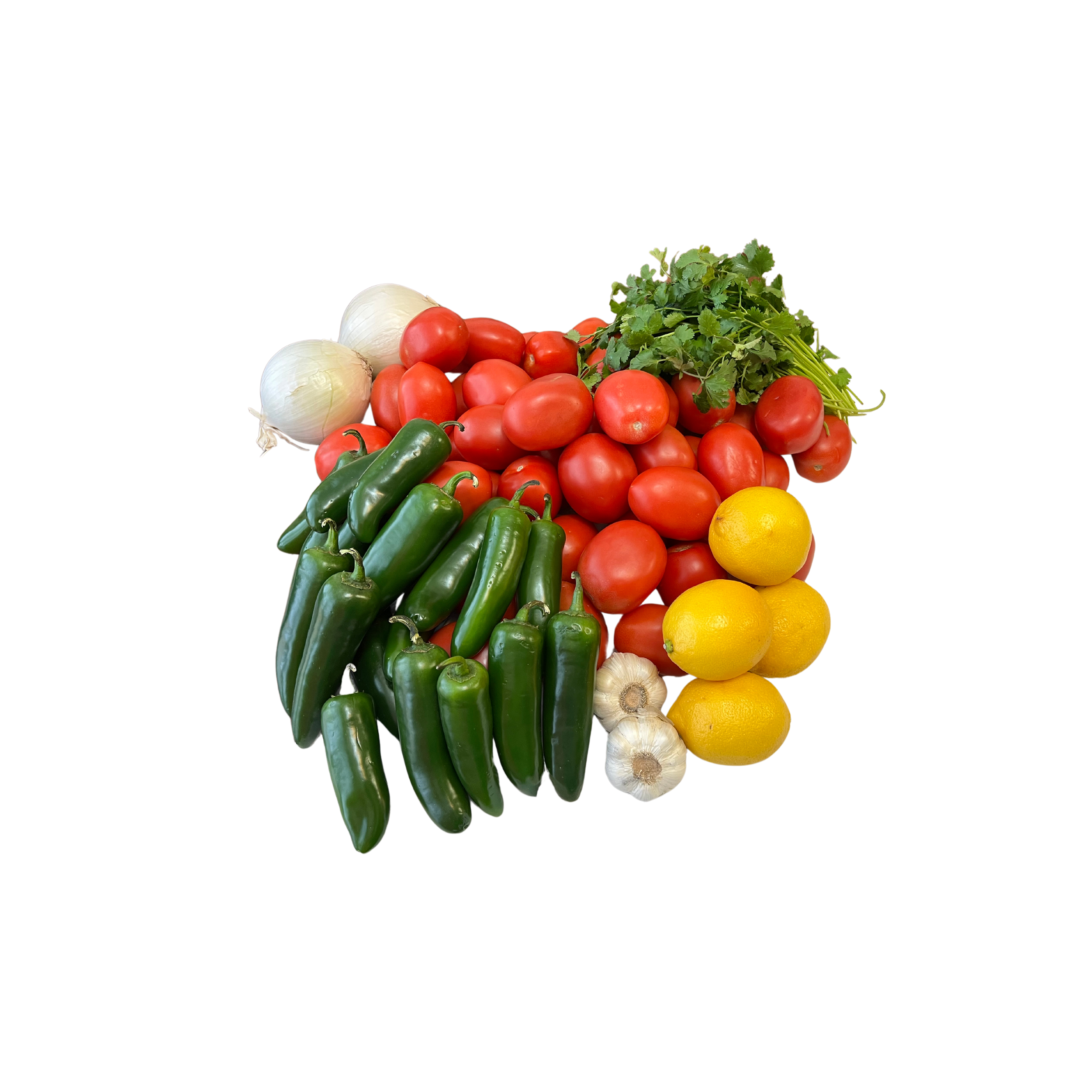Copy of Copy of Untitled Design (2).png