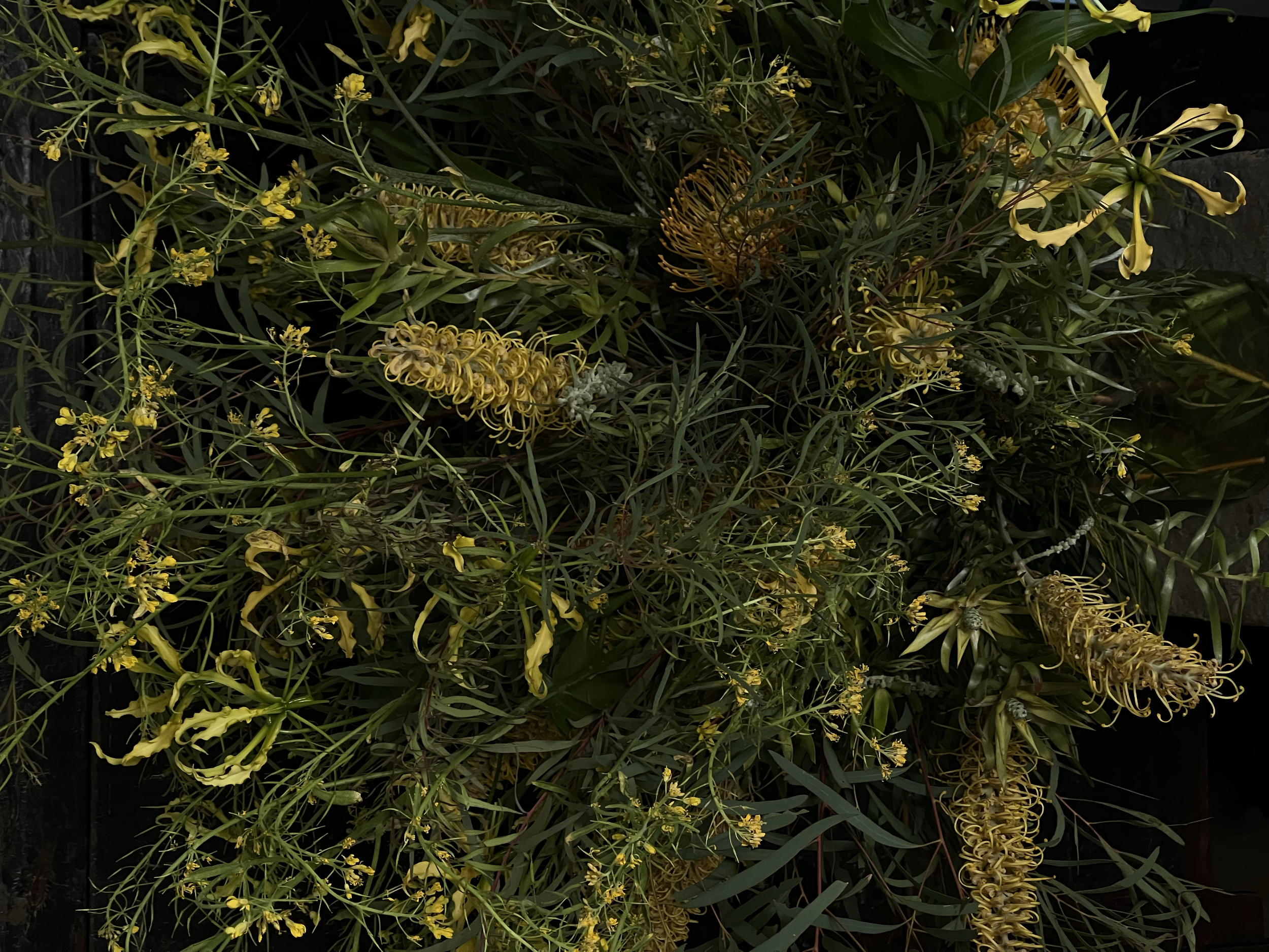 Yellow flowers and green leaves on a bush or plant.