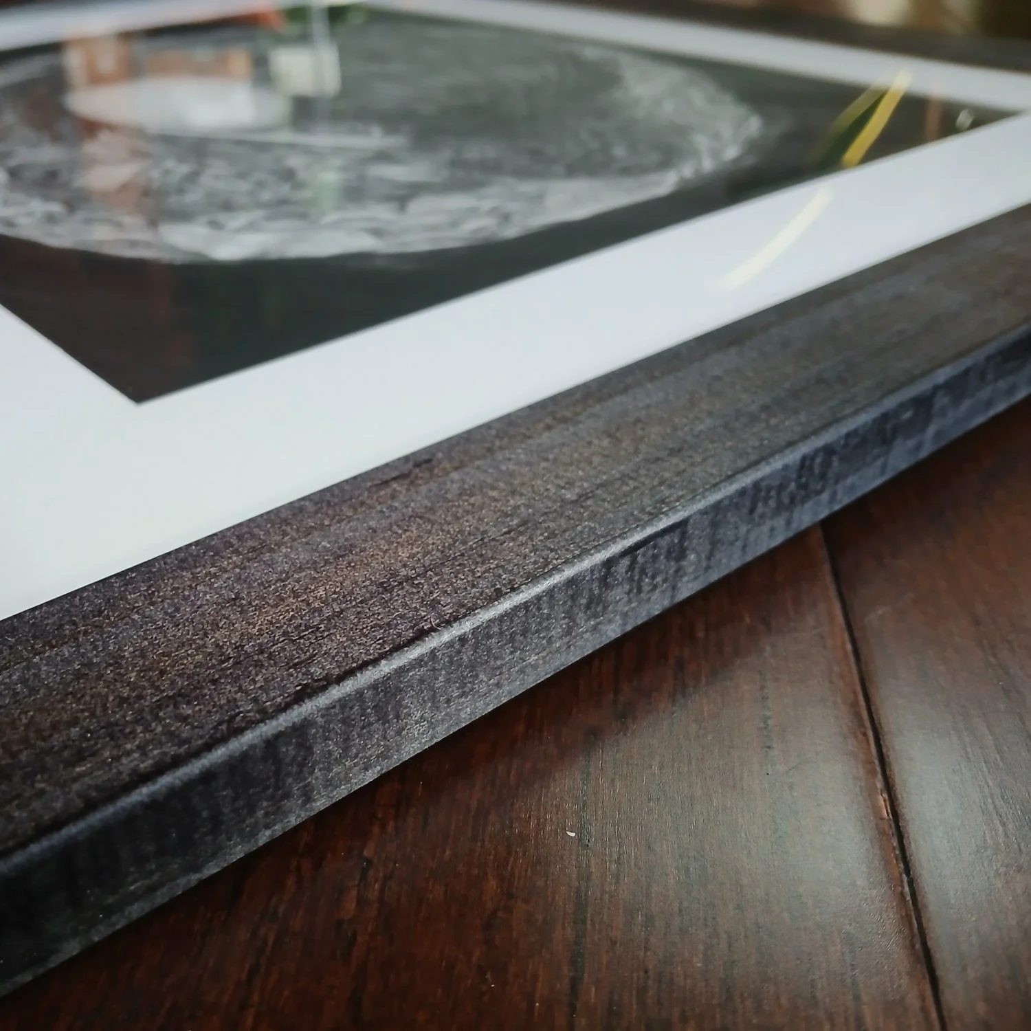 Framed Artwork Kiwi Nest by Sina Sibler