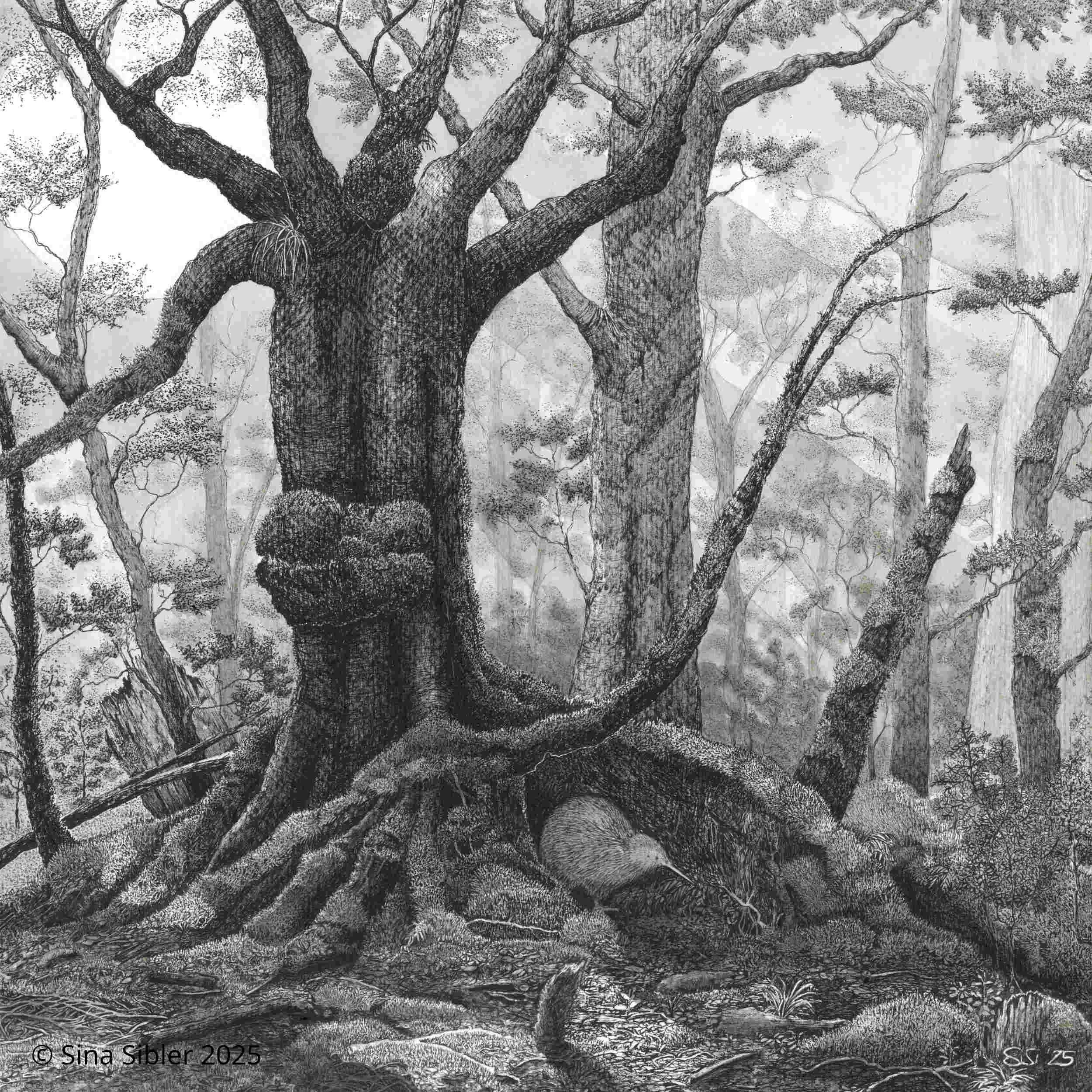 Kiwi Under Roots - Giclée Print