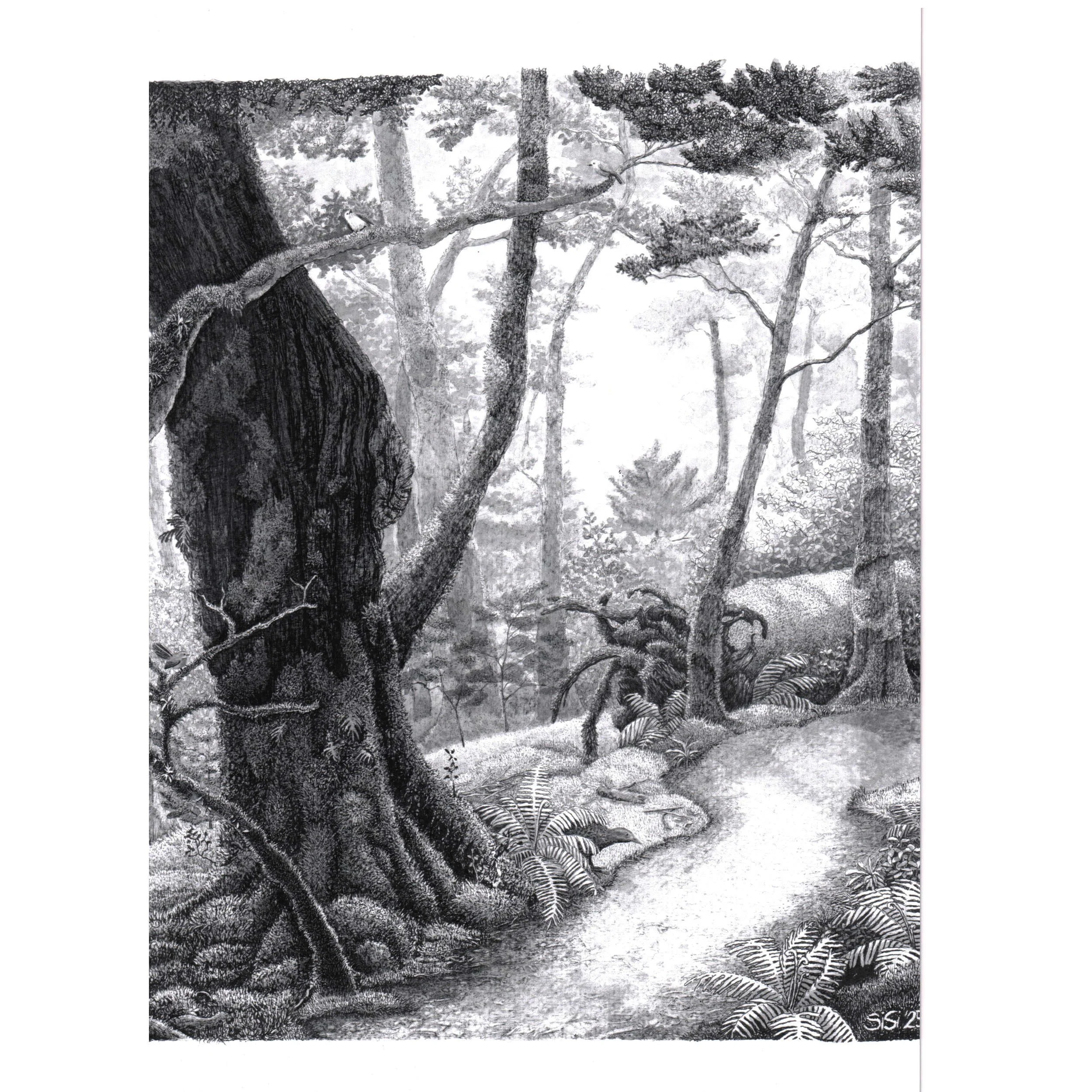 Lake Gunn Nature Loop- A4  Art Print