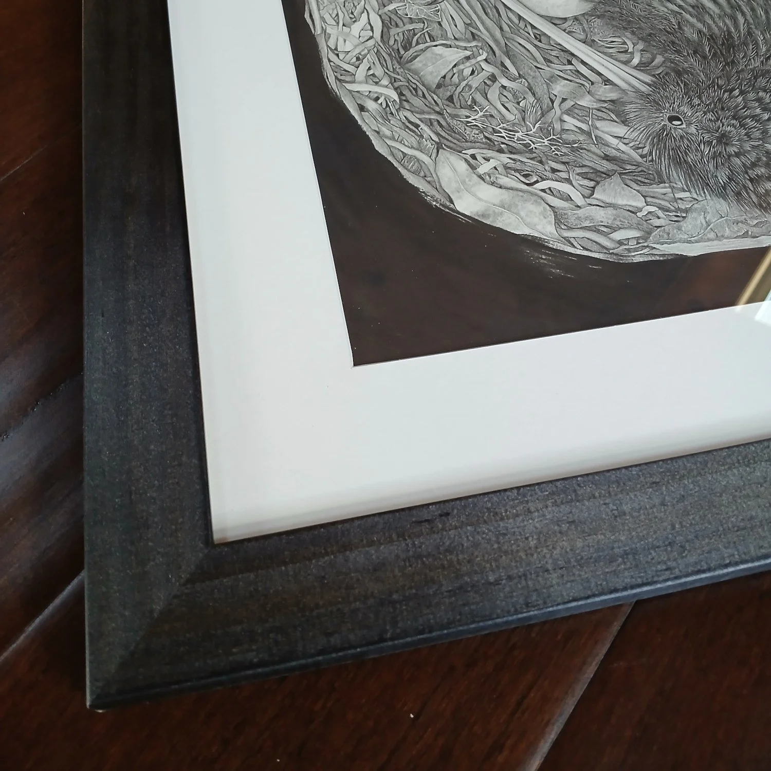 Framed Artwork Kiwi Nest by Sina Sibler