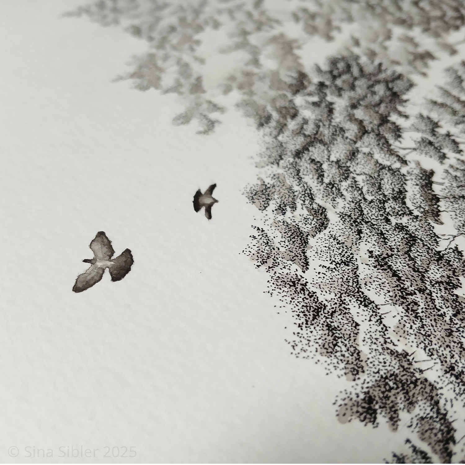 Kereru Detail in the Poweliphanta Fiordlandica 3.0 ink drawing by Artist Sina Sibler