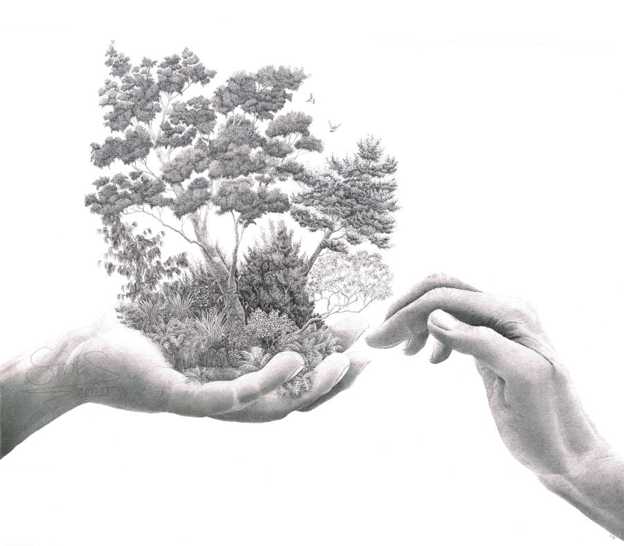 EXHIBITION Forest Care drawing by Sina Sibler