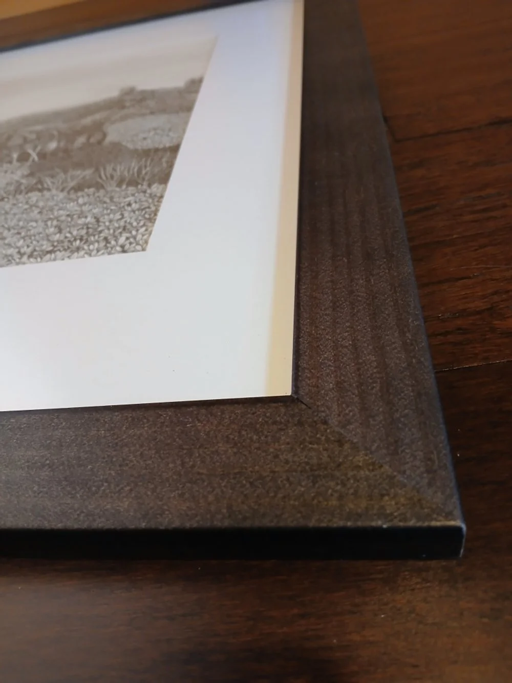 Framed Black and white ink drawing of Fiordland alpine bush and mist, inspired by the Hump Ridge Track, highly detailed landscape by Sina Sibler