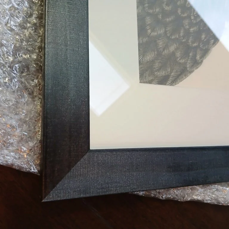 Frame Detail of the Graphite Drawing Kea Portrait by Te Anau Artist Sina Sibler 