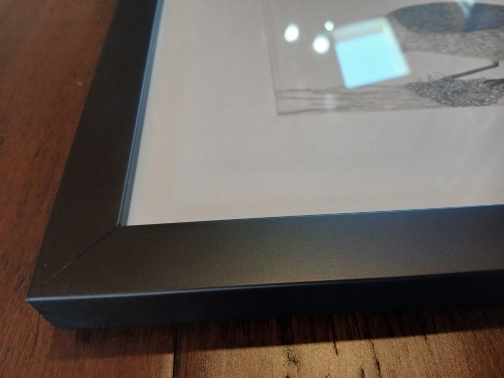 Framed Black and white drawing of mohua bird, side view on mossy beech branch by Artist Sina Sibler in Fiordland