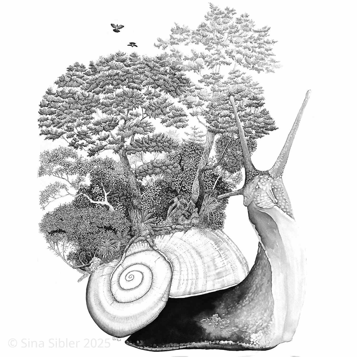 Poweliphanta Fiordlandica 3.0 - Giclée Print