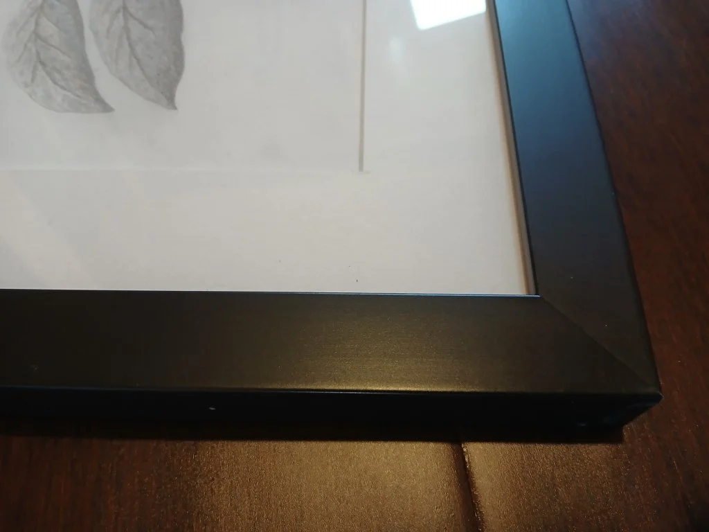 Framed Graphite drawing of a New Zealand silvereye perched among leafy branches, highly detailed in fine black and white shading.