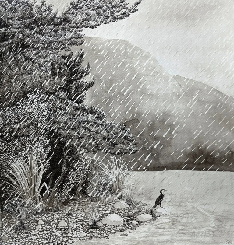 An Ink Drawing of Lake Gunn on a Rainy Day with a shag on the shore by Te Anau Artist Sina Sibler
