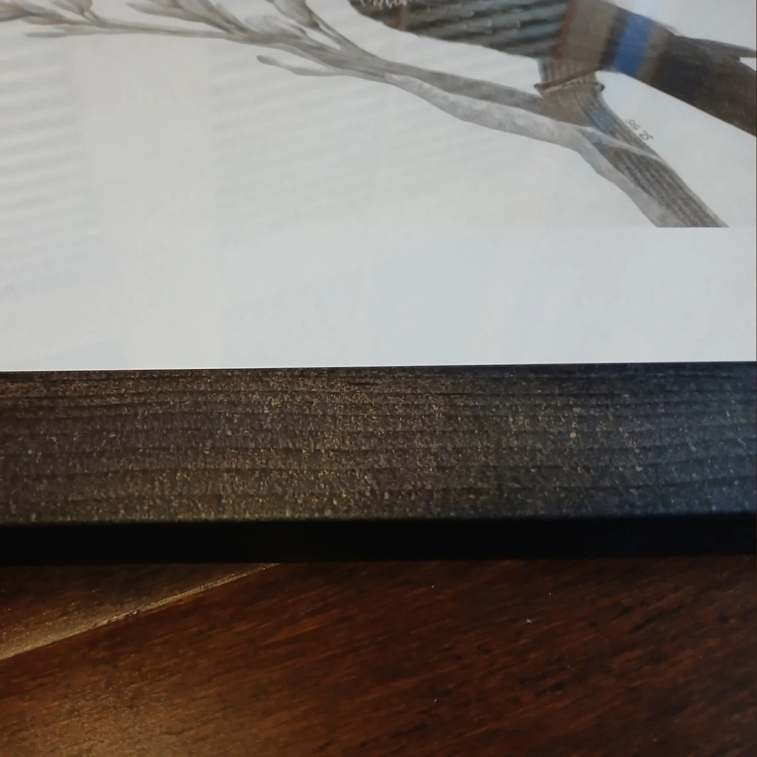 Frame Detail of Tui on Harakeke Graphite Drawing by Artist Sina Sibler