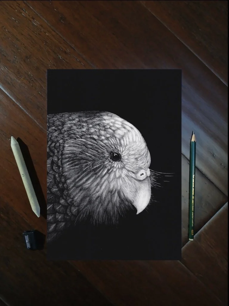 Kakapo Portrait Product Photo.jpg