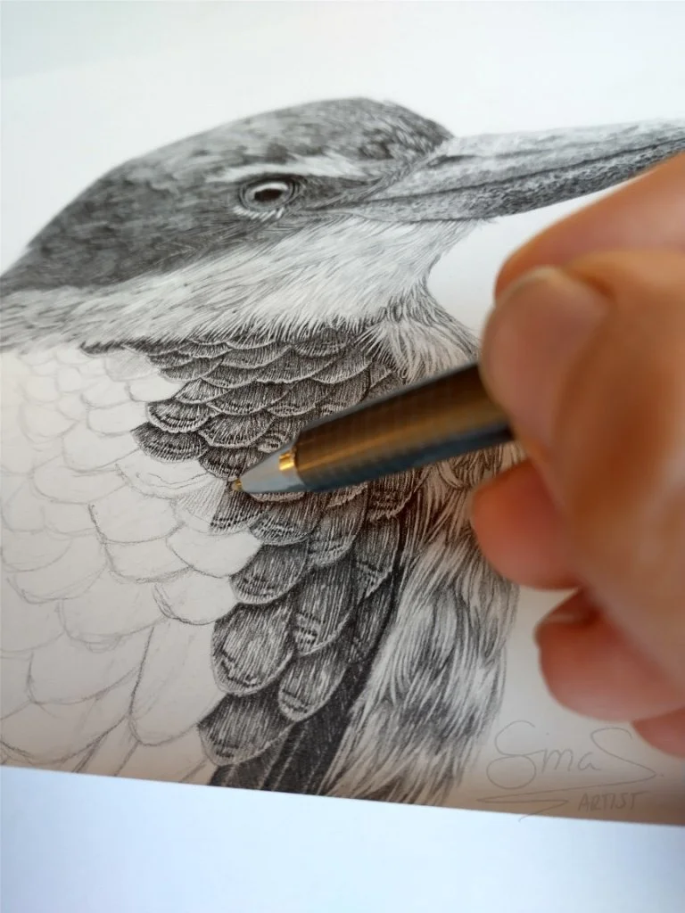 Graphite drawing of a New Zealand Sacred Kingfisher perched on a branch, rendered in soft detailed pencil tones.