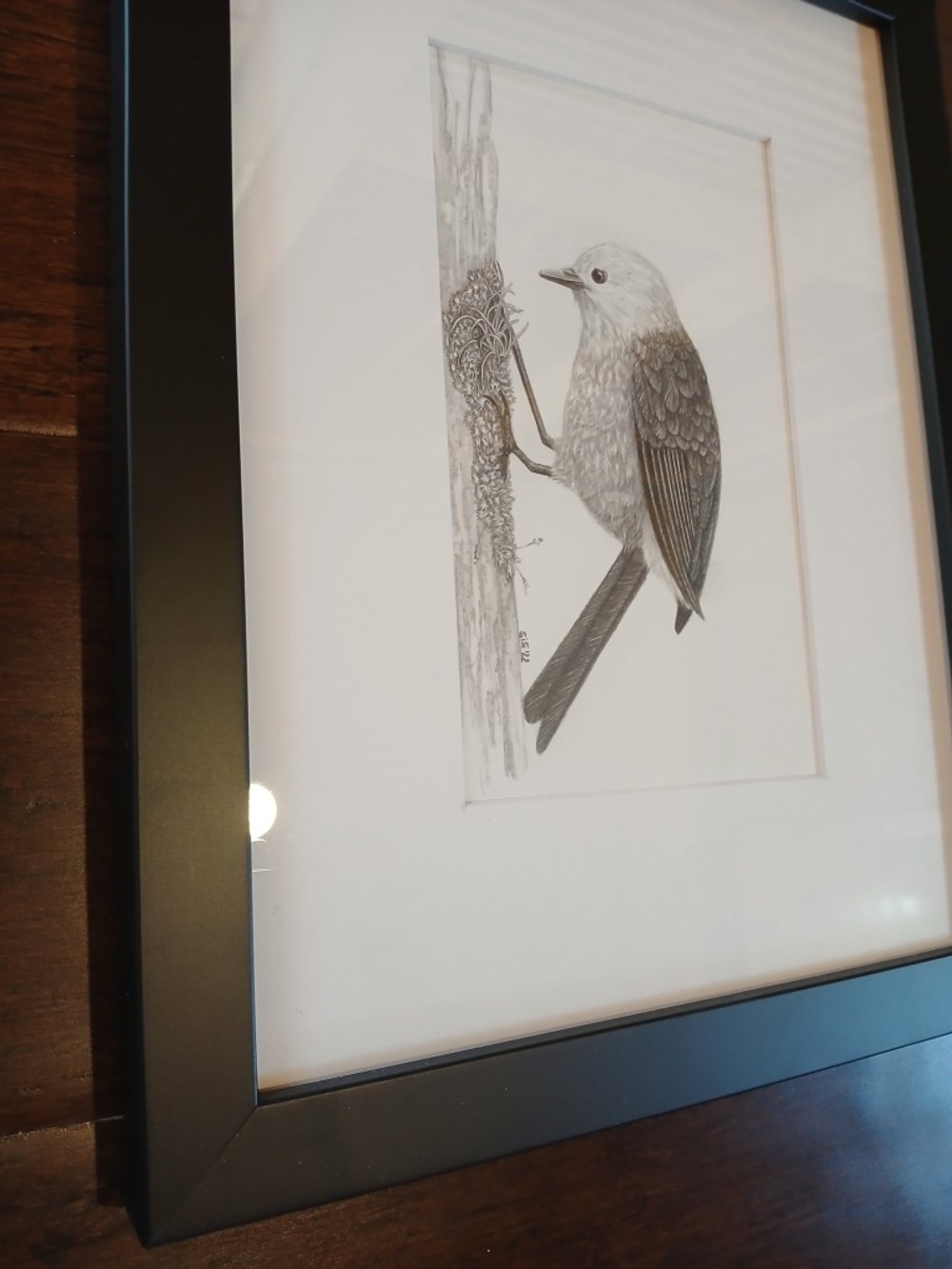 Fine art graphite illustration of a mohua, New Zealand forest bird, perched vertically on moss