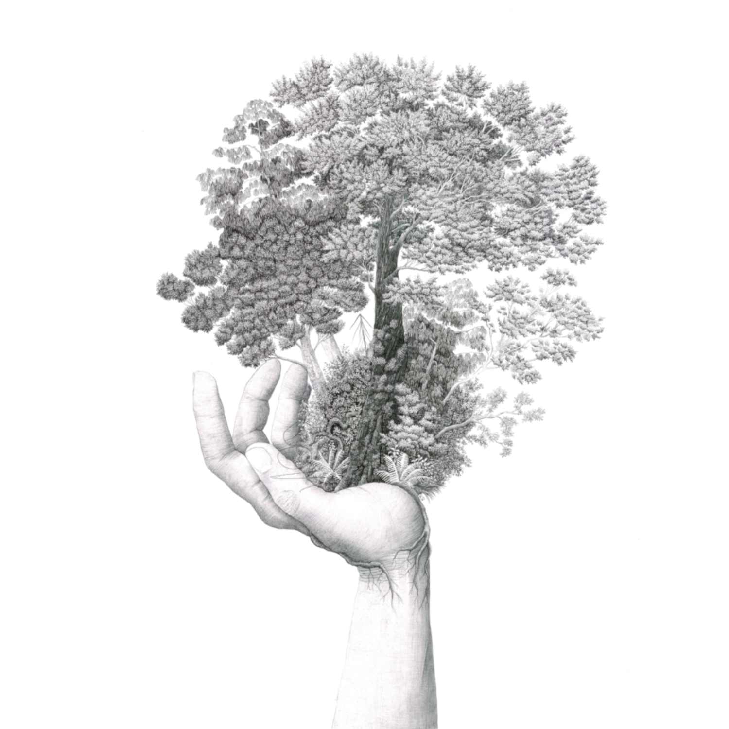 Ballpoint pen drawing by Sina Sibler titled Forest Care, depicting a hand cradling a New Zealand native forest growing from its palms, symbolic black and white nature artwork.