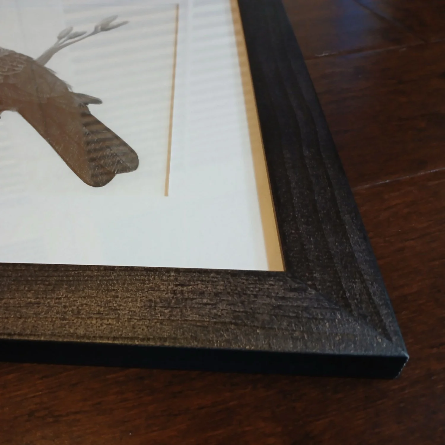 Frame Detail of Tui on Harakeke Graphite Drawing by Artist Sina Sibler
