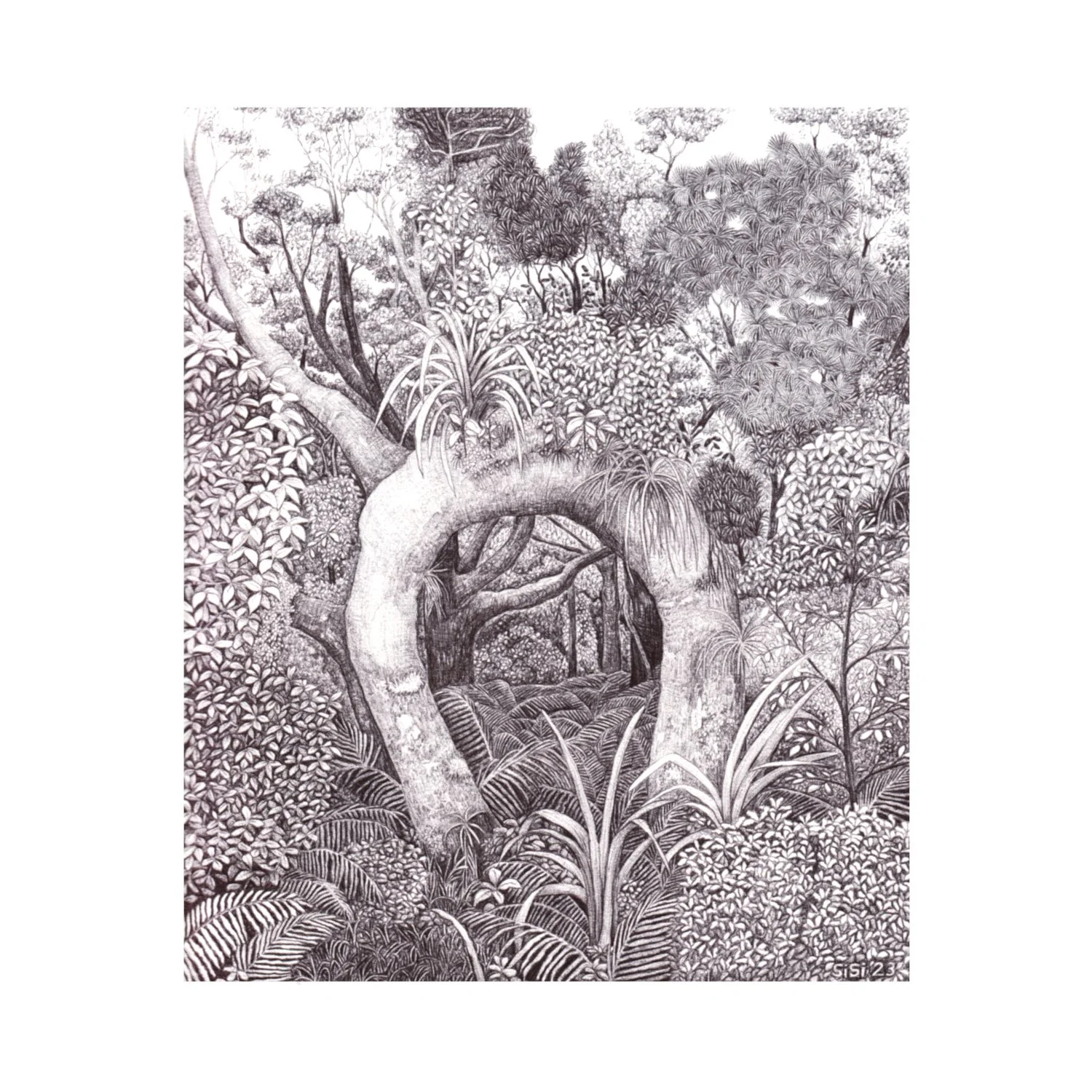Tree Portal