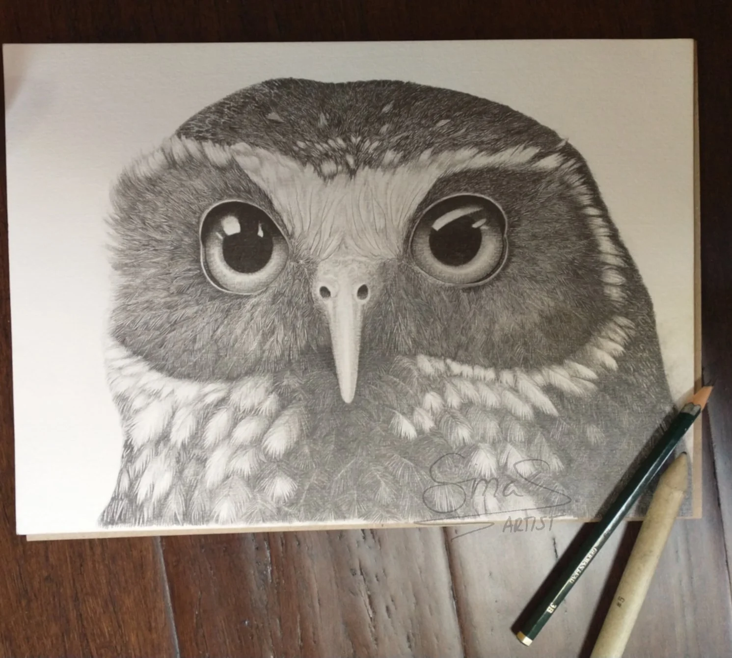 Unframed Artwork Morepork Portrait by Te Anau Artist Sina Sibler
