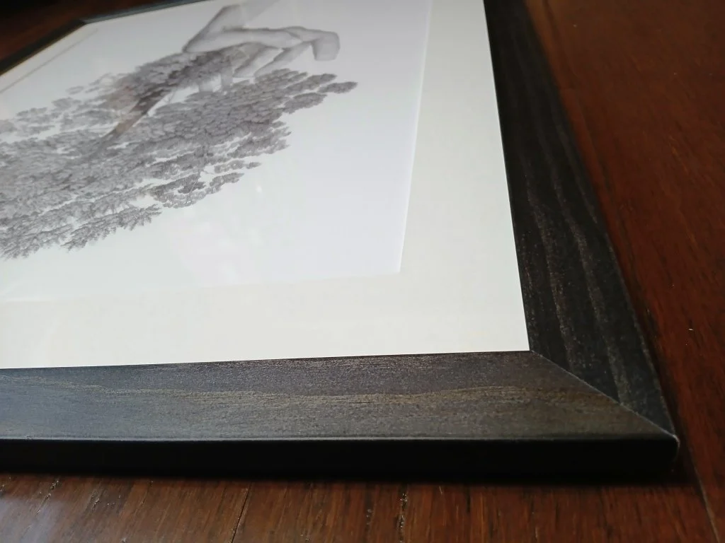 Framed ballpoint pen drawing by Sina Sibler titled Forest Care, black and white artwork depicting a hand cradling a New Zealand native forest with ferns, lancewood, rimu, kāmahi, and southern red beech. Artwork is presented with an acid-free archival