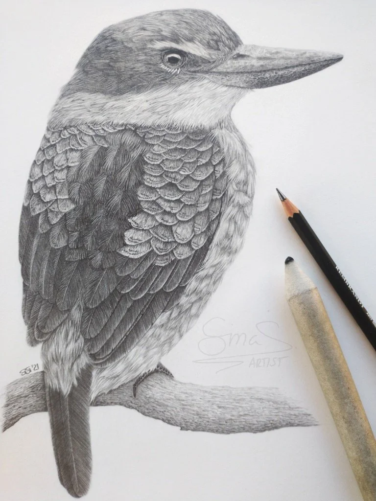 Graphite drawing of a New Zealand Sacred Kingfisher perched on a branch, rendered in soft detailed pencil tones by Te Anau Artist Sina Sibler