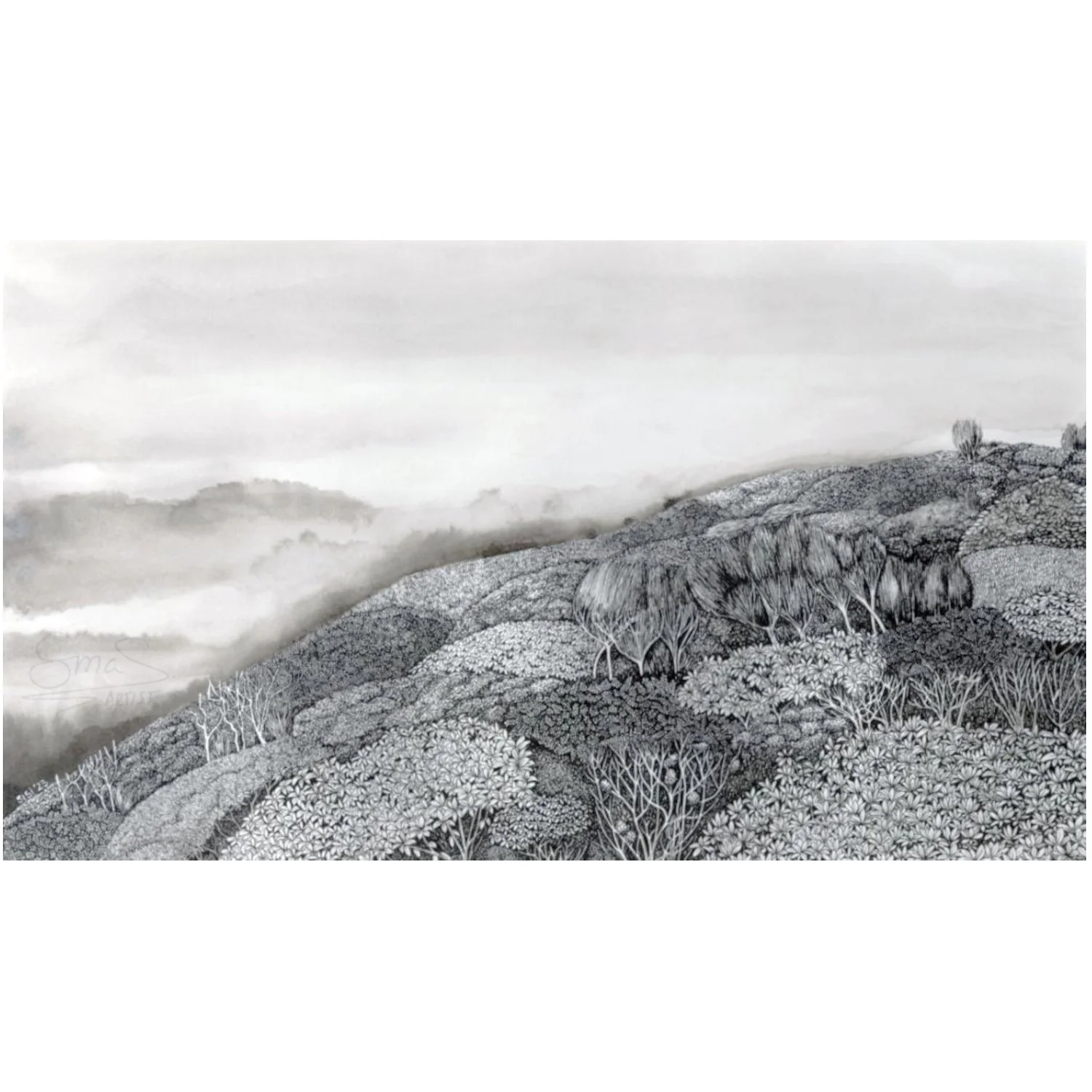 Black and white ink drawing of Fiordland alpine bush and mist, inspired by the Hump Ridge Track, highly detailed landscape by Sina Sibler