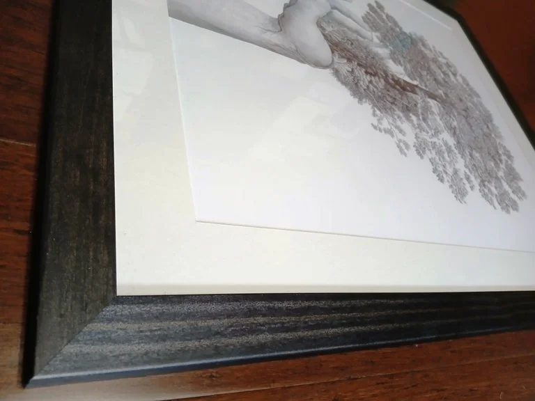 Framed ballpoint pen drawing by Sina Sibler titled Forest Care, black and white artwork depicting a hand cradling a New Zealand native forest with ferns, lancewood, rimu, kāmahi, and southern red beech. Artwork is presented with an acid-free archival