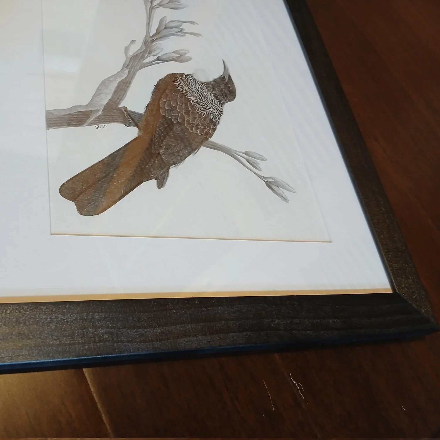 Frame Detail of Tui on Harakeke Graphite Drawing by Artist Sina Sibler