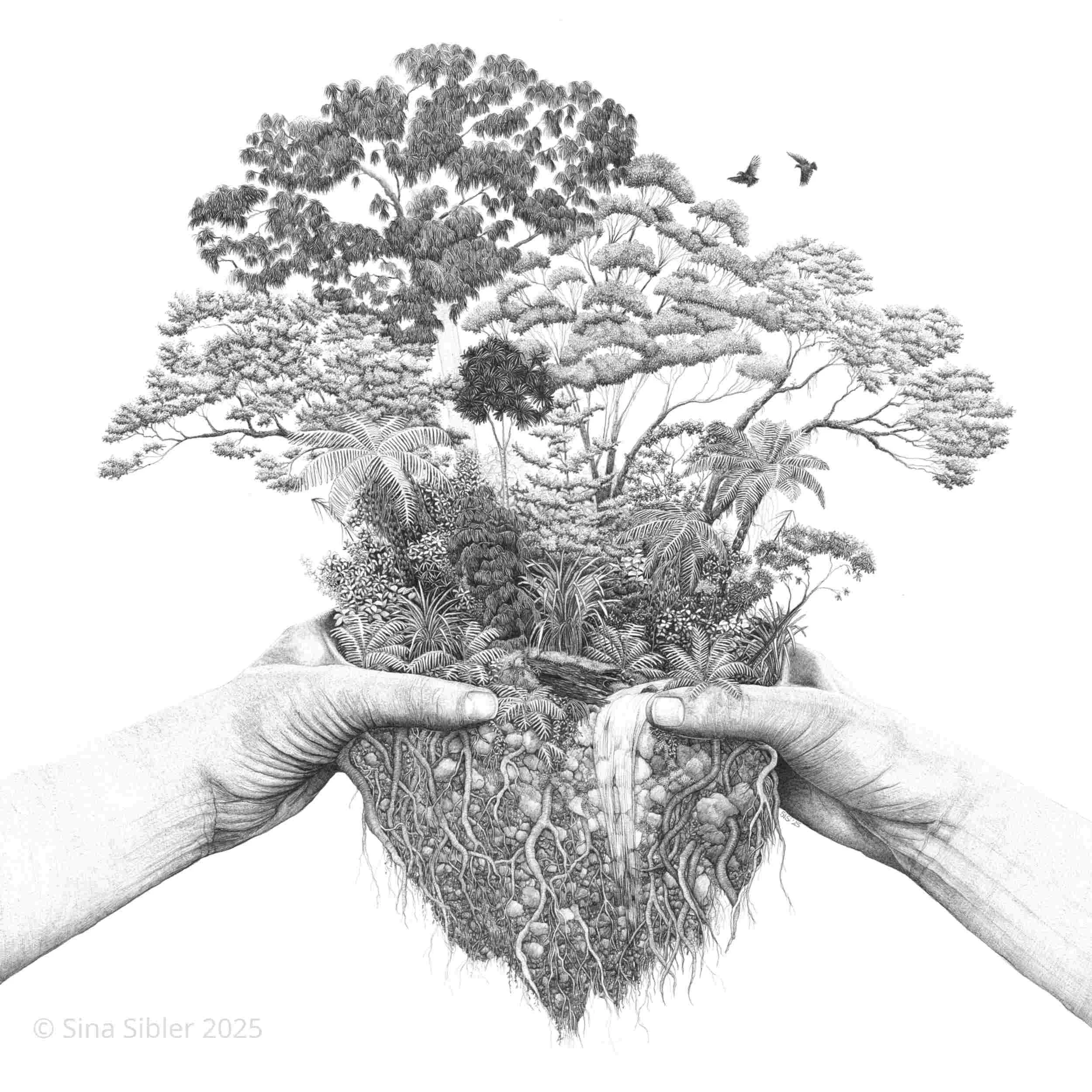 Ballpoint Pen Drawing by Te Anau Artist Sina Sibler depicting two hands holding a bouquet of New Zealand native forest