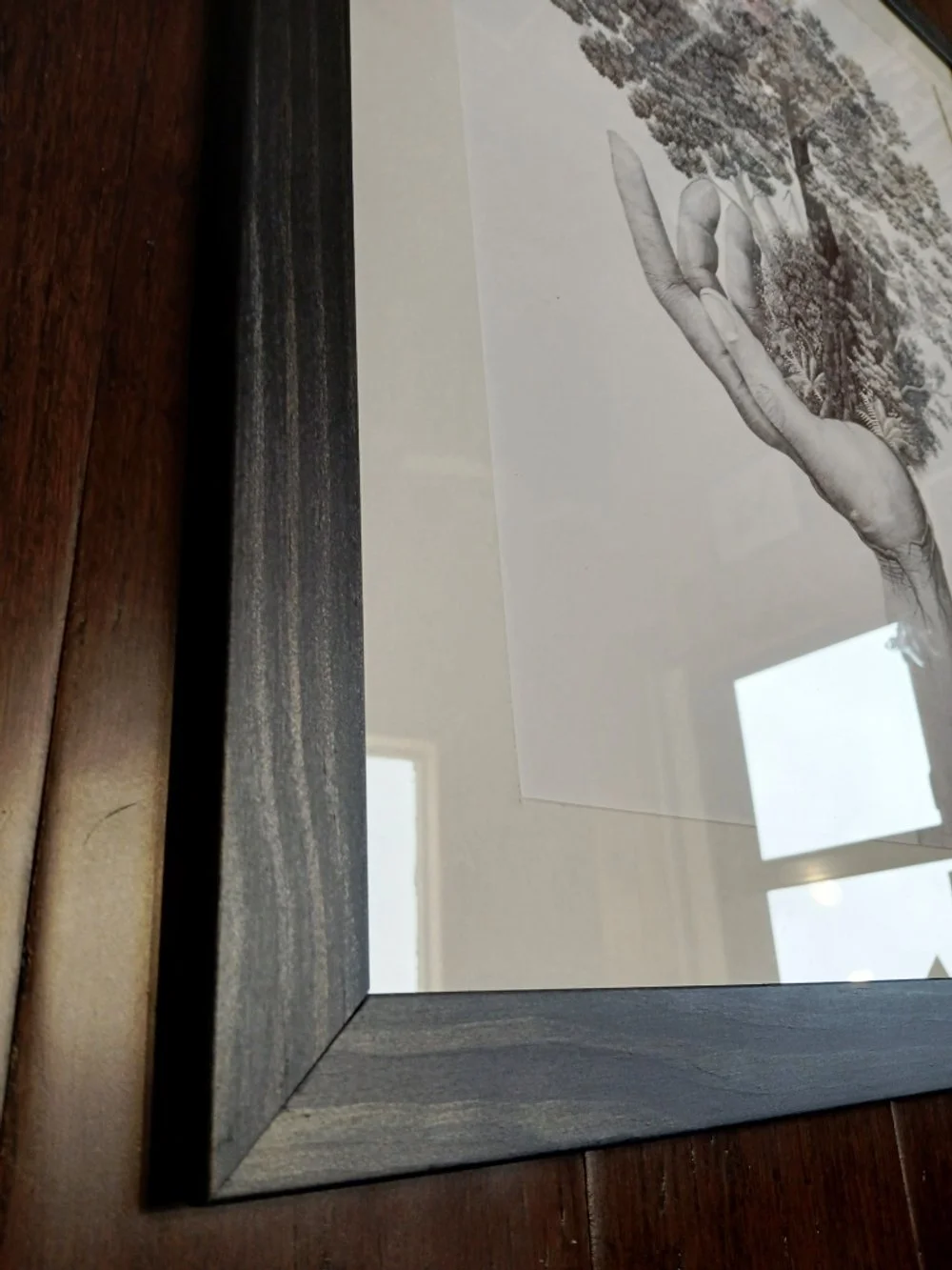 Framed ballpoint pen drawing by Sina Sibler titled Forest Care, black and white artwork depicting a hand cradling a New Zealand native forest with ferns, lancewood, rimu, kāmahi, and southern red beech. Artwork is presented with an acid-free archival