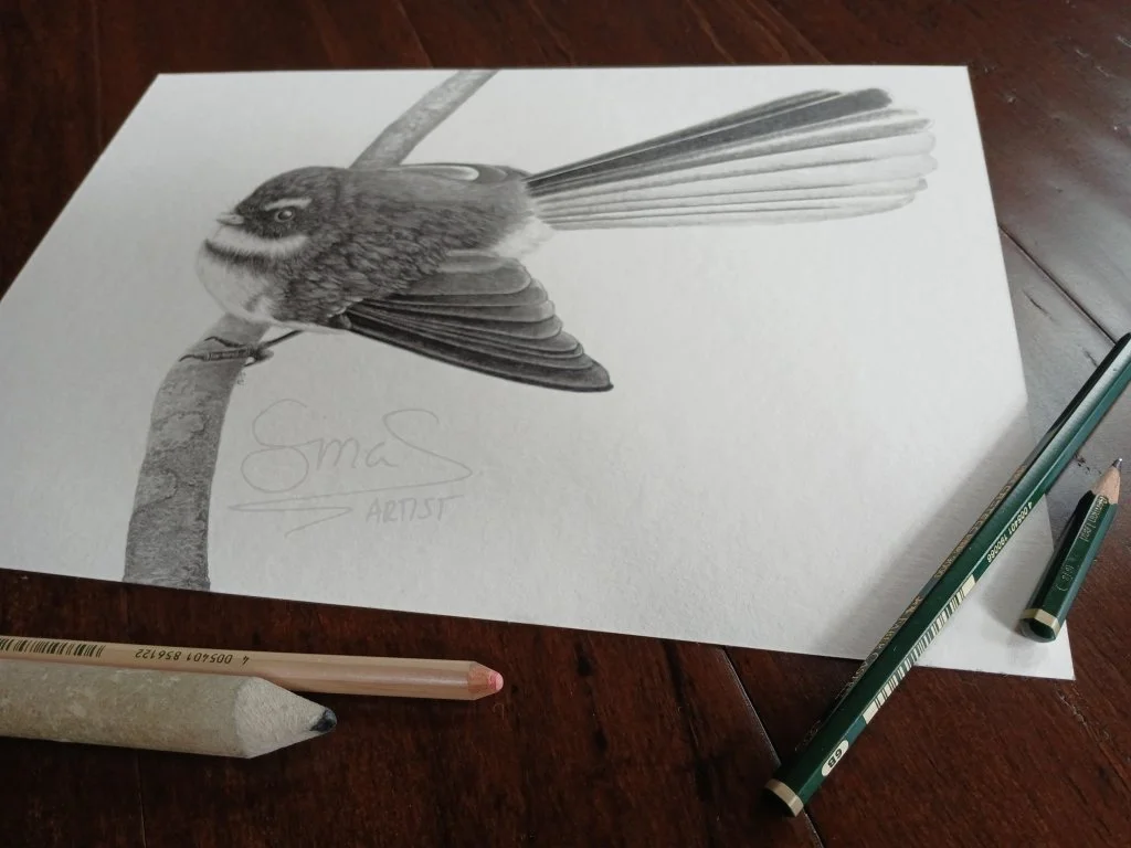 Graphite drawing of a New Zealand fantail (pīwakawaka) perched on a branch, A4 size unframed original drawing by Sina Sibler