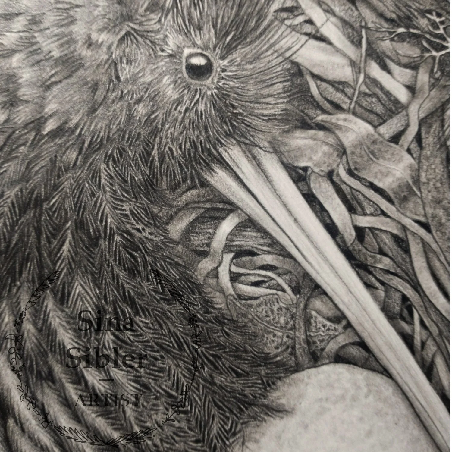 Detail of a graphite drawing by Artist  Sina Sibler called Kiwi Nest