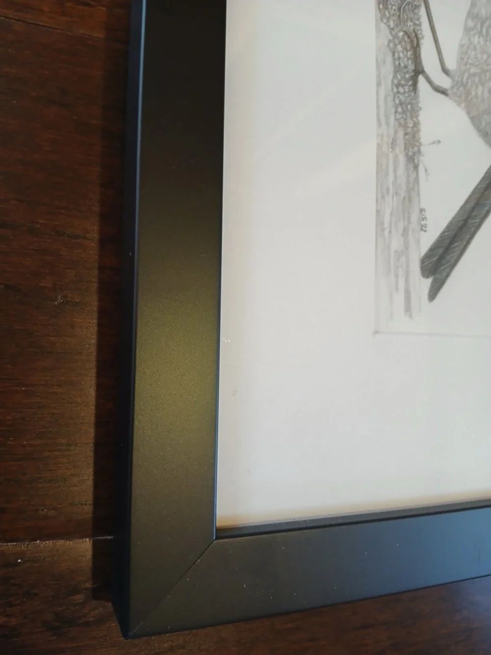 Framed Realistic graphite artwork of native New Zealand yellowhead (mohua) on mossy perch by Te Anau Artist Sina Sibler