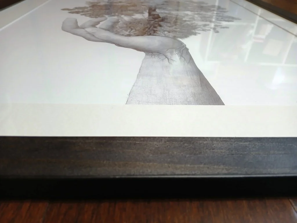Framed ballpoint pen drawing by Sina Sibler titled Forest Care, black and white artwork depicting a hand cradling a New Zealand native forest with ferns, lancewood, rimu, kāmahi, and southern red beech. Artwork is presented with an acid-free archival