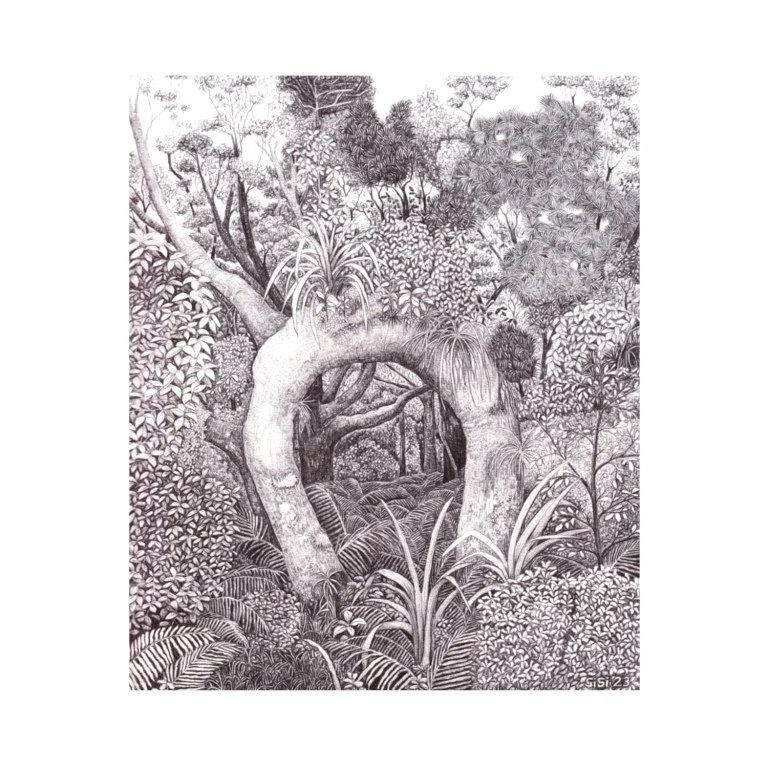 Tree Portal – black and white ballpoint pen drawing of a twisted Chalky Island tree by Te Anau Artist Sina Sibler