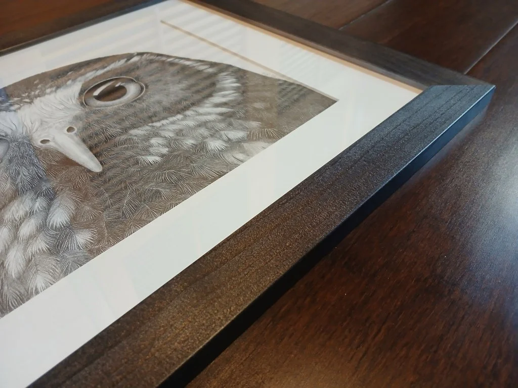 Framed Artwork Morepork Portrait by Sina Sibler