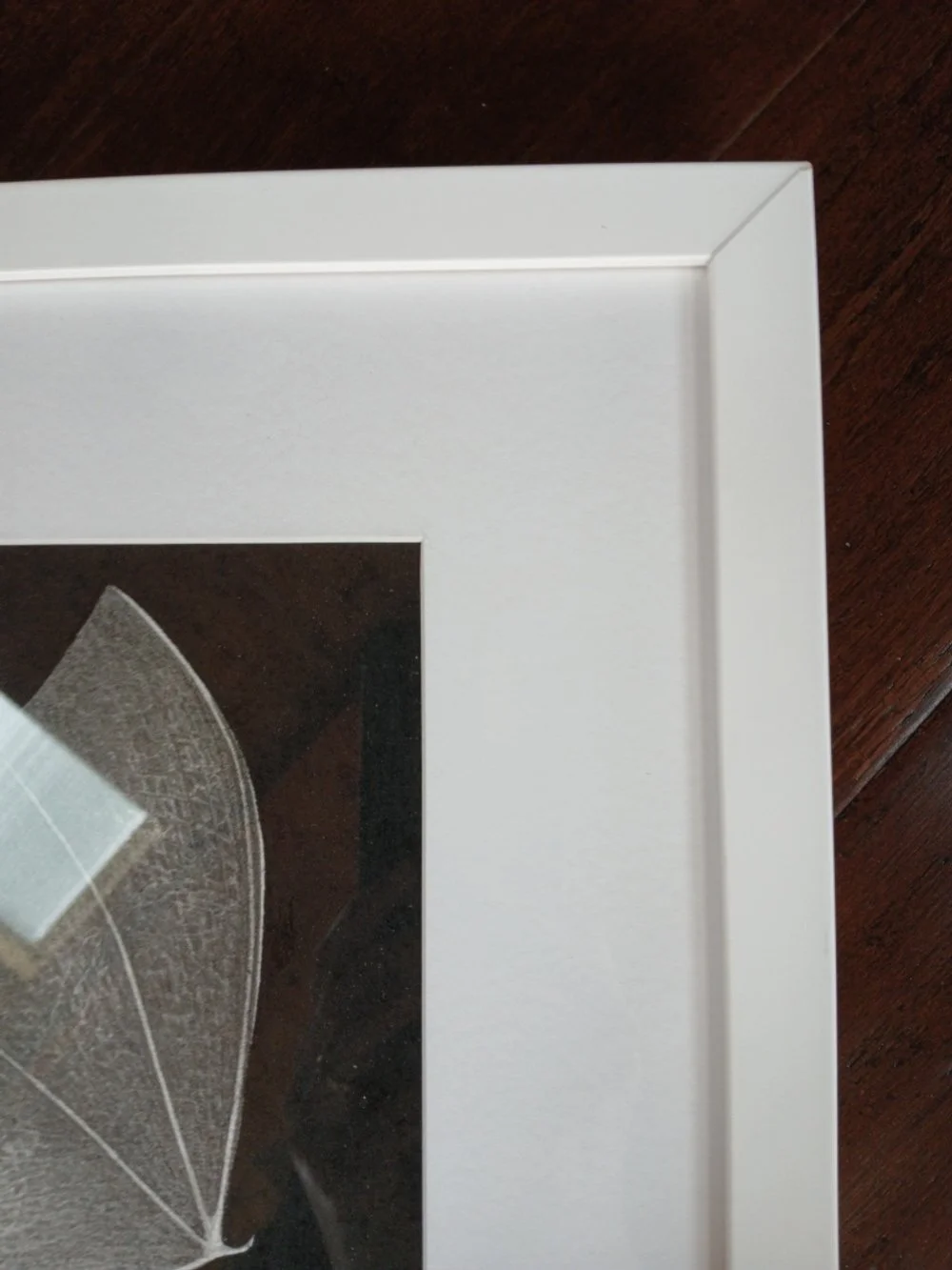 Framed graphite drawing of a New Zealand long-tailed bat mid flight, detailed wings and fur, by artist Sina Sibler, Fiordland