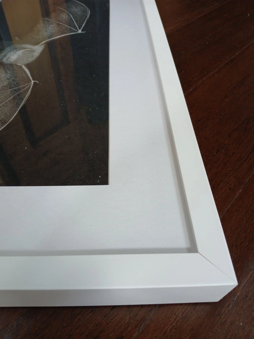 Framed graphite drawing of a New Zealand long-tailed bat mid flight, detailed wings and fur, by artist Sina Sibler, Fiordland.