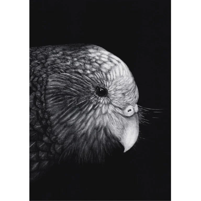 Kakapo Portrait - A4 Art Print