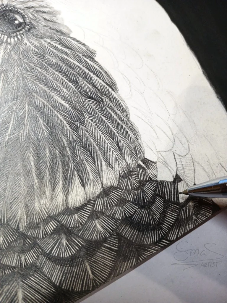 Progress shot of graphite Kakapo drawing, showing detailed work in progress on feathers and facial features by Artist Sina Sibler